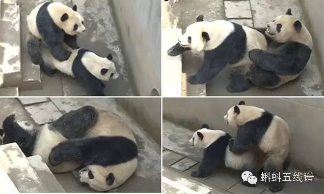 震惊众人的片段,惊呆众人的现场