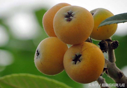 8岁孩子咳嗽有痰咳不出来怎么办,1岁宝宝感冒流鼻涕咳嗽咳不出痰