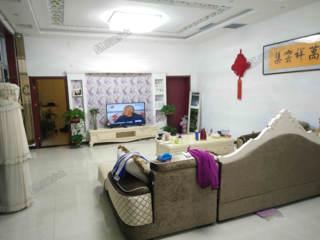 北方一层农村自建房图片大全,北方农村便宜实用一层自建房