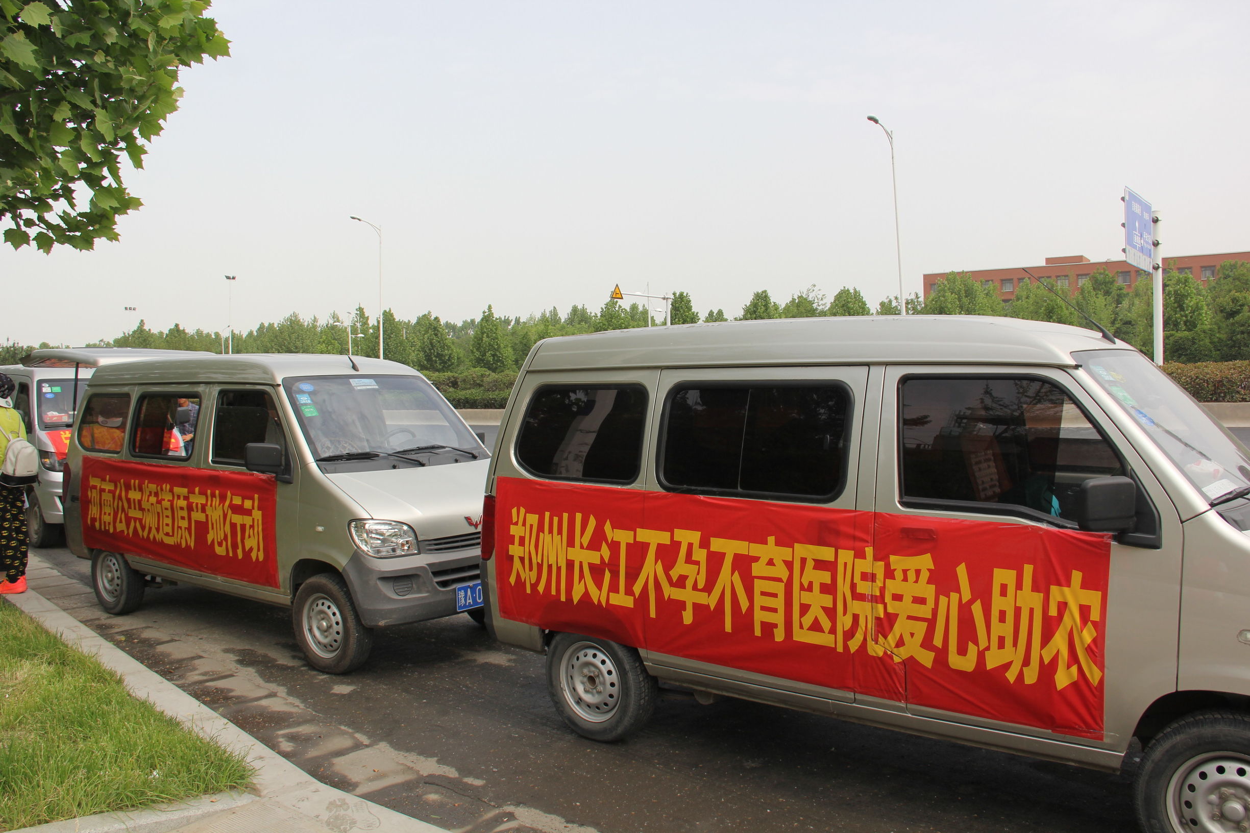 河南蒜薹最新消息,河南蒜薹滞销