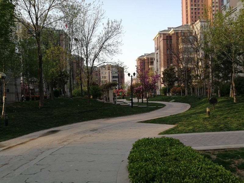 小辣椒a19手机,小辣椒双摄手机怎么样