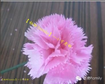 母亲节康乃馨图片大全大图,母亲节礼物手工康乃馨用卫生纸折