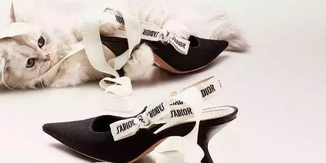 今年最好卖的鞋,zara和hm鞋哪个好看