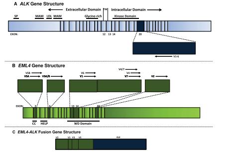 首个中国抗癌新药,中国首款治癌药物