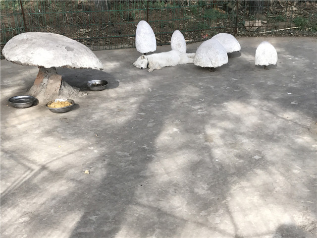 神秘谷步道周边游,神秘谷好玩的地方