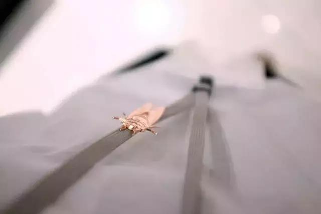 一晃九夏｜历数DesignSummer的九个夏天