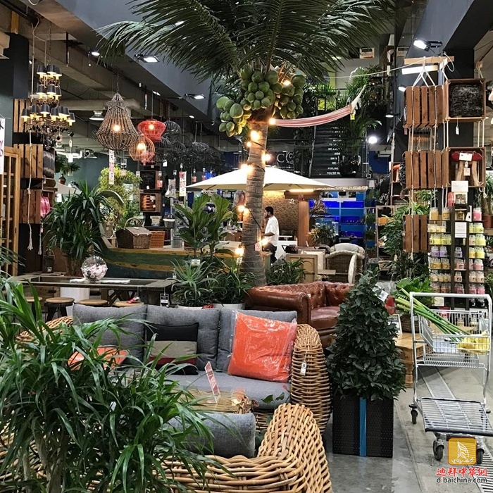 迪拜最大花卉市场在哪里,迪拜有几个花卉市场