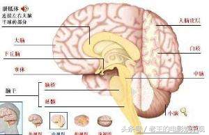 关于上帝禁区有一部国产科幻比《超体》拍的早,只是有点俗