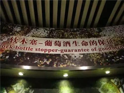 一组张裕爱斐堡酒庄实景图,蓝裕文化