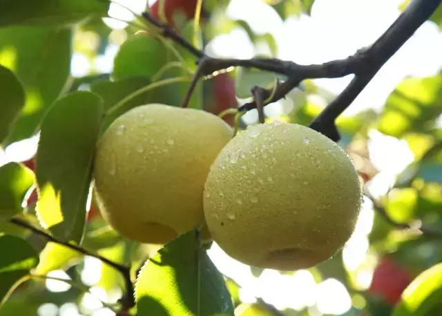 大西安·微PK｜阎良区竟然还有这么多名字你知道几个？