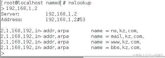 linux配置dns服务器步骤,在linux中dns服务器配置