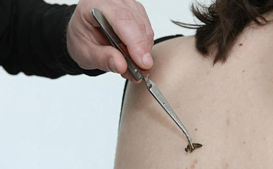 神雕侠侣小龙女和周伯通冲出山洞,神雕侠侣周伯通教小龙女功夫