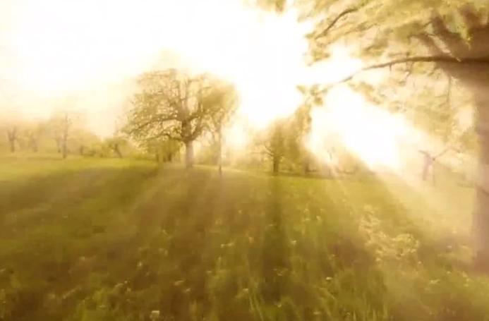 绿色的叶子为什么吸收红色光,叶子的颜色为什么会发生变化