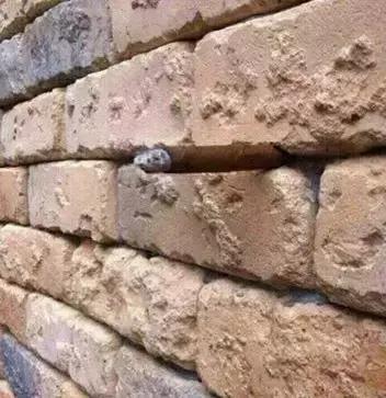 详情页评估,详情页检测报告可以用吗