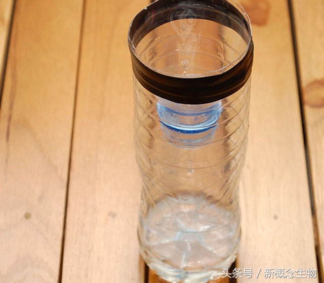 猪舍内蚊蝇自制小秘方,猪场捕苍蝇神器大全