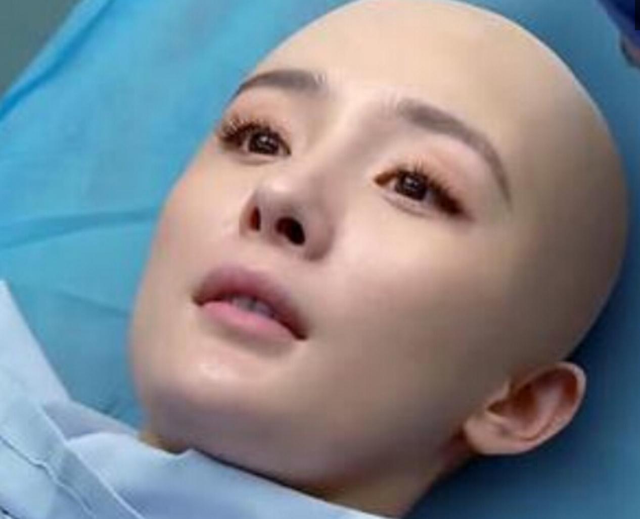 全球最美100女明星范冰冰,十大女明星光头形象