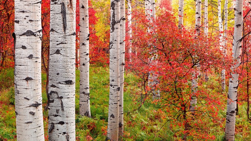 hkcg4plus显示器花屏,hkc的g40显示器评测