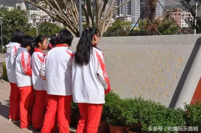 再见了龙狮城,再见了八年级