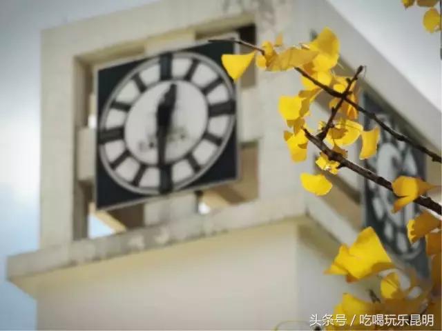 昆八中介绍,再见八中