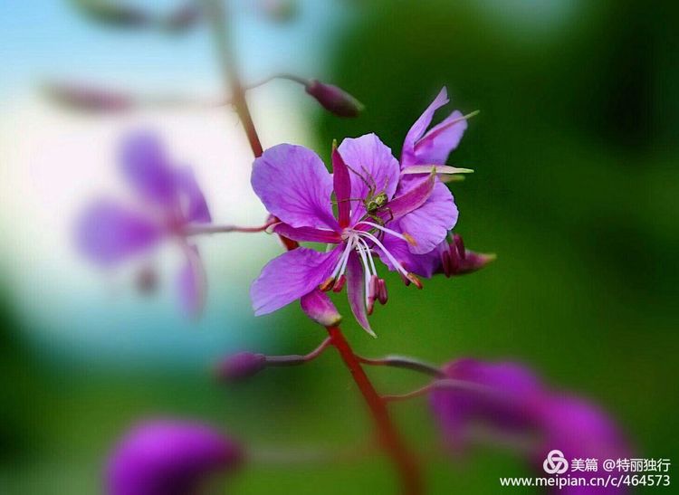 走过四季夏天最美,走过春夏美丽的秋冬
