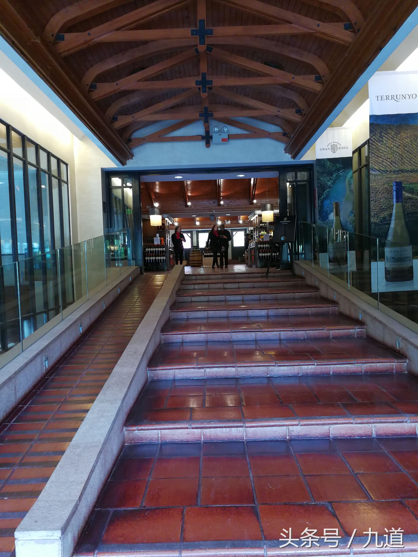 智利佳美娜酒,智利佳美娜品牌推荐