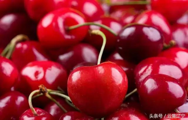 辽宁什么水果有名又好吃,辽宁冬天的应季水果都有什么