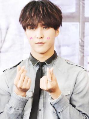 男团解散后会各回各的公司吗,韩国男团beast为什么解约