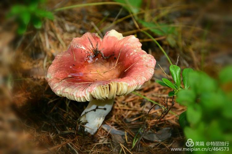 走过四季夏天最美,走过春夏美丽的秋冬