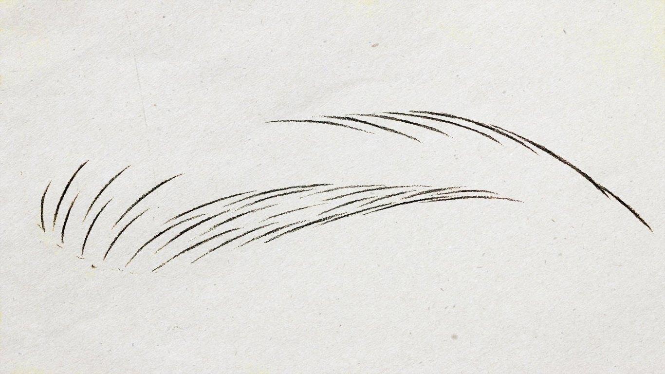 纸上仿生眉线条画法分解,线条眉纸上单根画法与步骤
