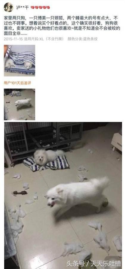 淘宝买家秀搞笑集合,淘宝搞笑蚊帐