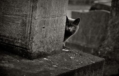 民间流传见“鬼”十法某男性主播因此获利数百万