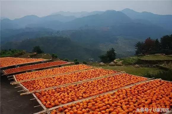 给我一方厨房，还你一桌菜肴