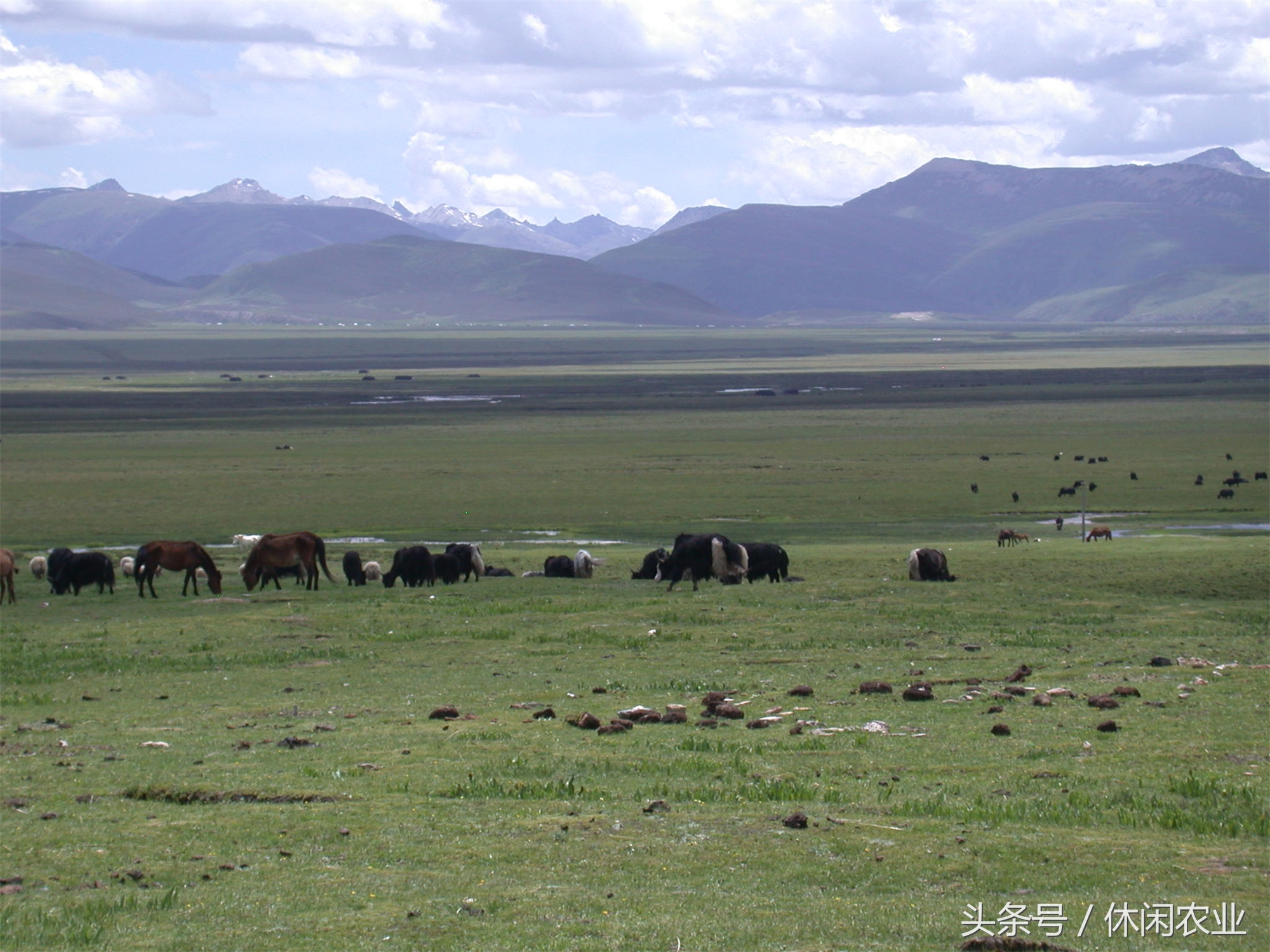 四川理塘附近好玩的地方,理塘附近游玩推荐