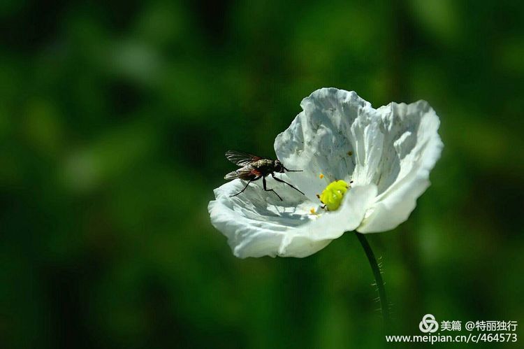 走过四季夏天最美,走过春夏美丽的秋冬