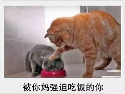 放下手中筷子,放下手里的筷子视频