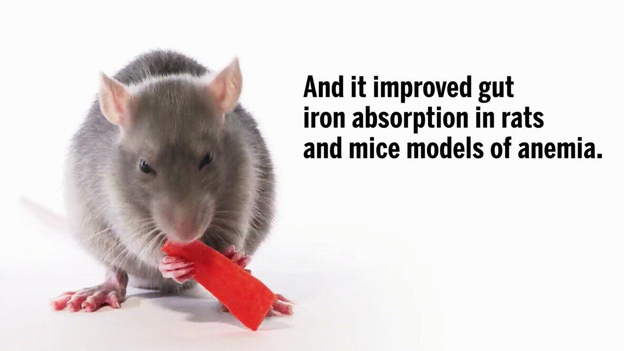 《科学》:难以置信!美国三所高校联合发现神奇小分子,开启疾病治疗新方向|奇点猛科技