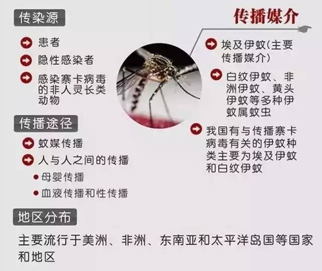 缺乏有效治疗手段的寨卡病毒，遇到了应该这样做