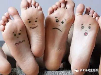 脚臭是因为真菌还是细菌,你的脚臭不臭