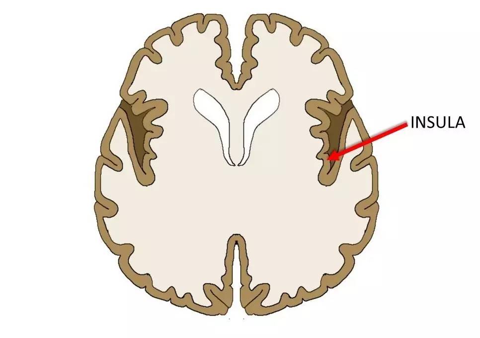 耳鬓厮磨的最佳解释,耳鬓厮磨是什么感觉