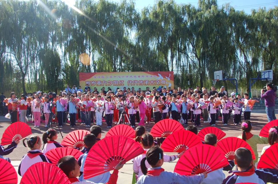 新优质学校展示会,新优质学校风采展示