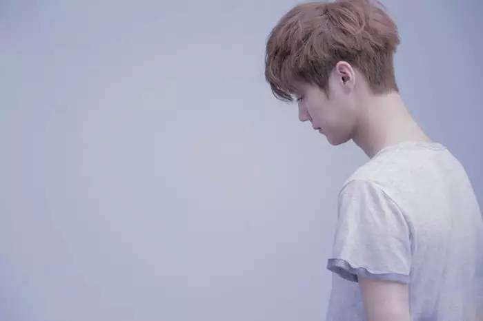 鹿晗树深时见鹿小说,鹿晗森林里的小鹿