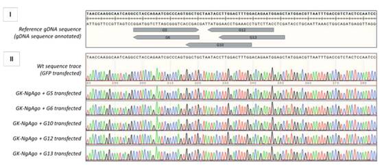 又3个课题组表示NgAgo无法重复,Nature子刊对韩春雨论文重复性担忧