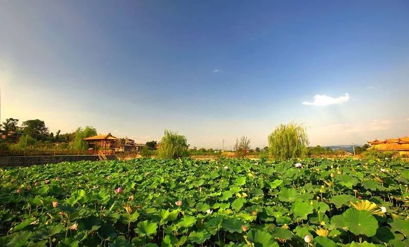 重庆私藏好吃的地方,重庆荣昌附近哪里有好玩的农家乐