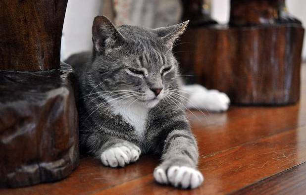 阳光之州是美国哪个州,阳光之州佛罗里达