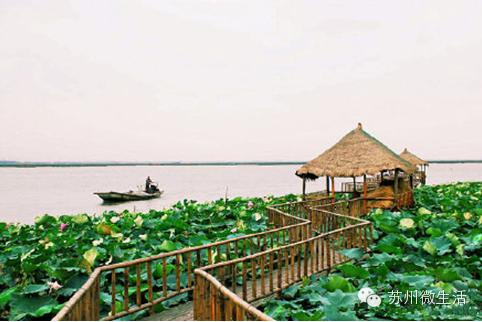 苏州最值得去的五个景点,苏州最值得去的10个景点排名