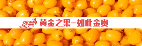 维生素之王到底是什么水果,维生素之王到底是什么