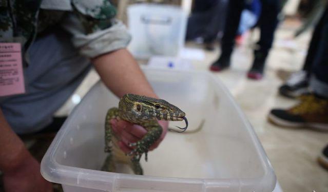 男士海外代购,男士国外代购