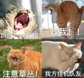 比3d还直观的动漫,盘点这些被搞坏的动画