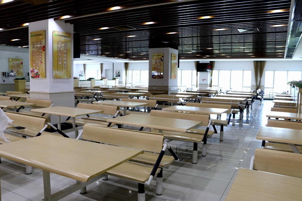 为了吃新鲜菜来开荒种菜,为了菜品新鲜每天坚持采购