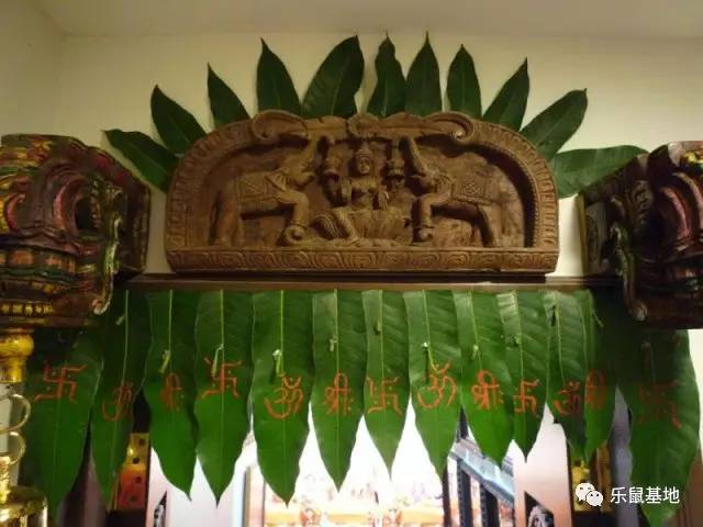 芒果的发展史 (一分钟带你了解芒果)